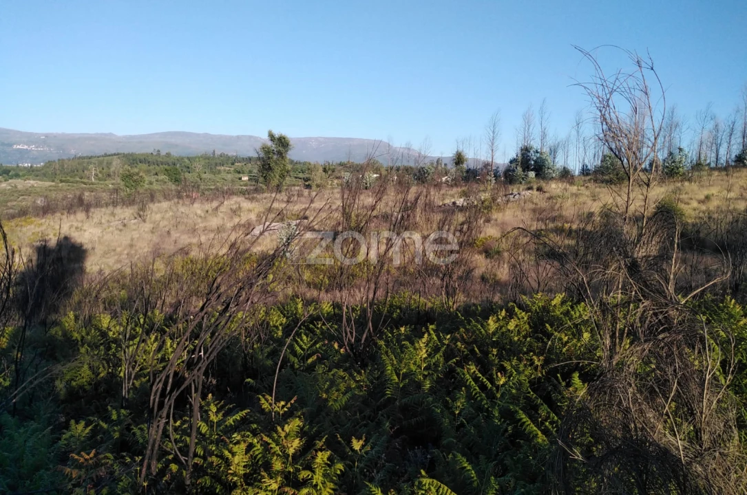 Terreno para Venda em Sameice e Santa Eulália Foto 5
