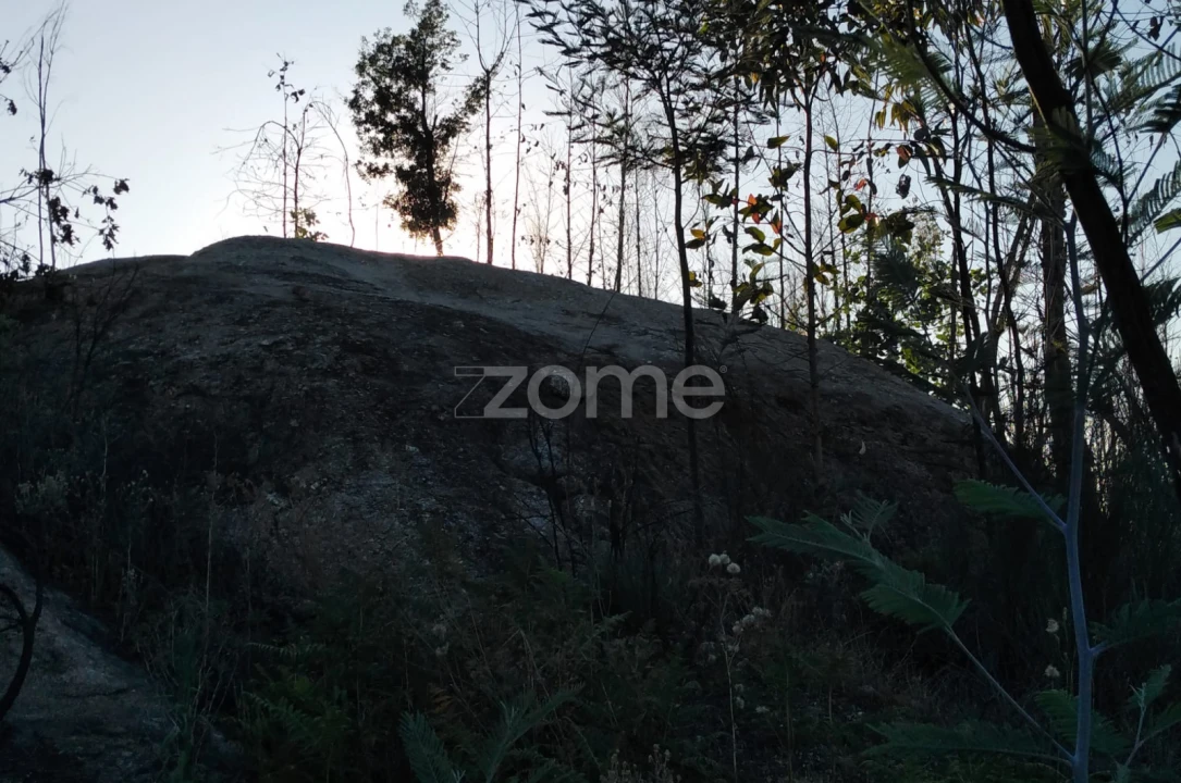Terreno para Venda em Sameice e Santa Eulália Foto 7