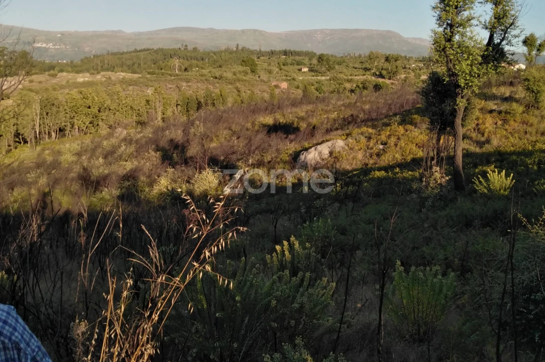 Terreno para Venda em Sameice e Santa Eulália Foto 13