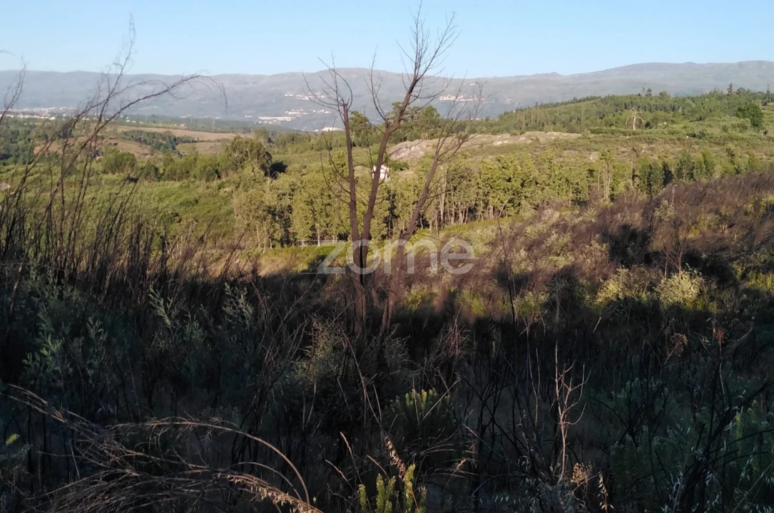 Terreno para Venda em Sameice e Santa Eulália Foto 18
