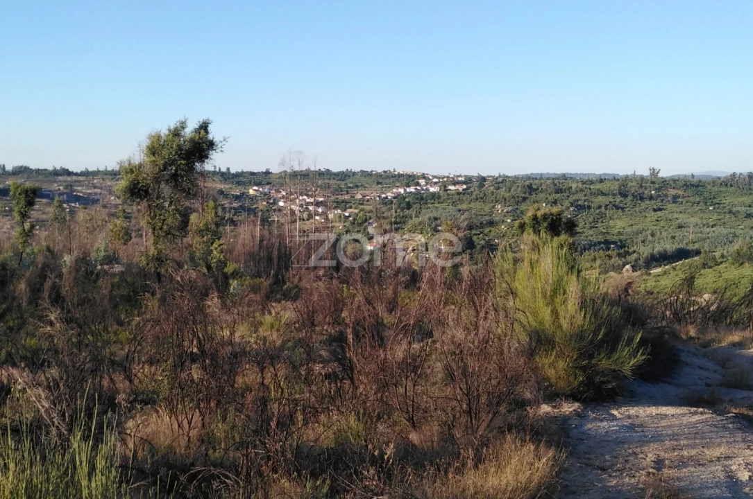 Terreno para Venda em Sameice e Santa Eulália Foto 19