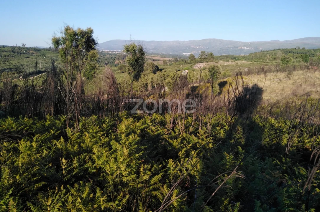 Terreno para Venda em Sameice e Santa Eulália Foto 10