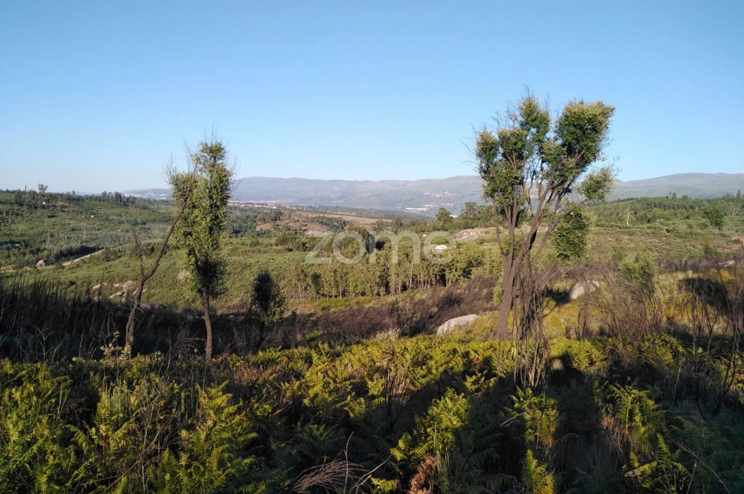 Terreno para Venda em Sameice e Santa Eulália Foto 12