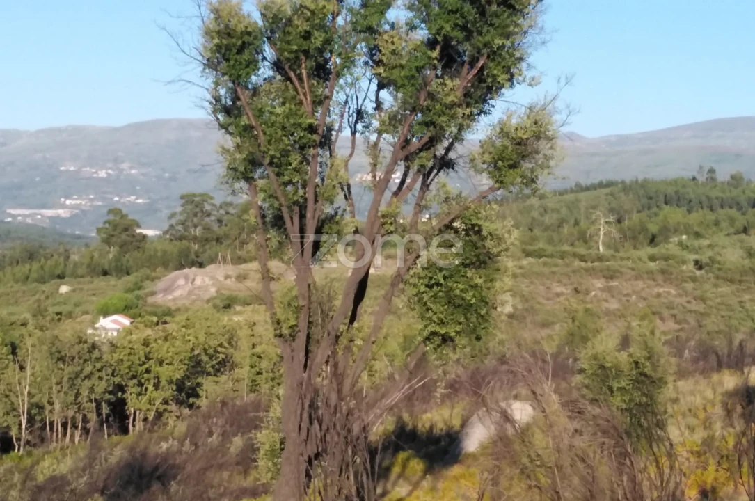 Terreno para Venda em Sameice e Santa Eulália Foto 20