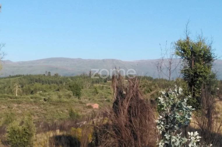 Terreno para Venda em Sameice e Santa Eulália Foto 4