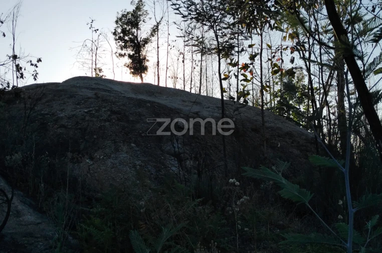 Terreno para Venda em Sameice e Santa Eulália Foto 7