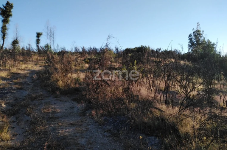 Terreno para Venda em Sameice e Santa Eulália Foto 3