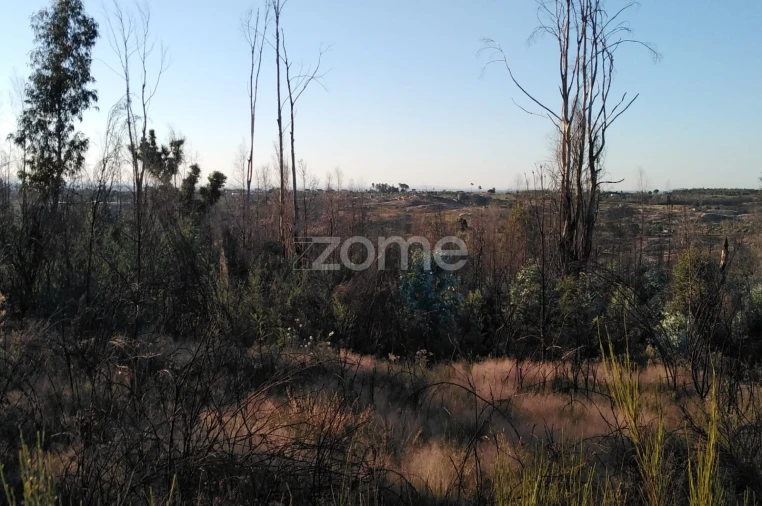 Terreno para Venda em Sameice e Santa Eulália Foto 6