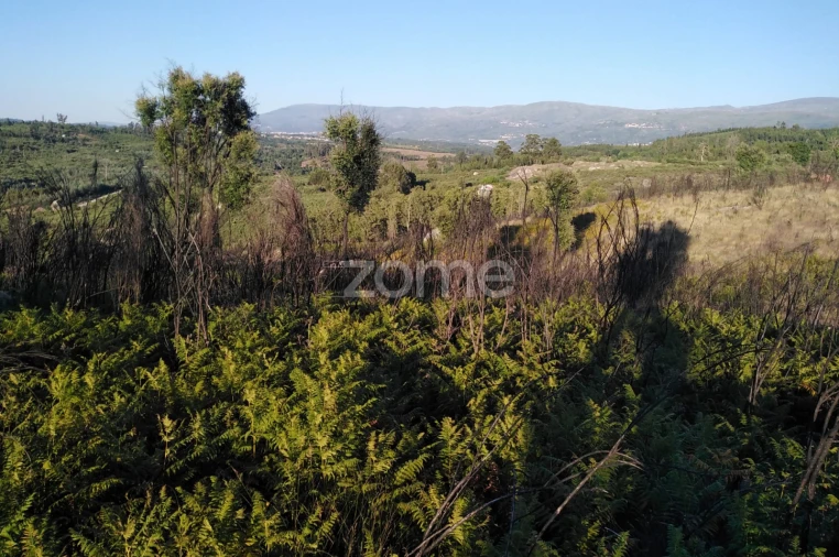 Terreno para Venda em Sameice e Santa Eulália Foto 10