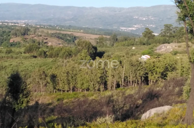 Terreno para Venda em Sameice e Santa Eulália Foto 1