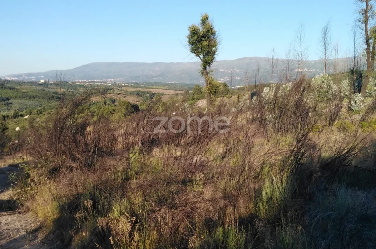 Terreno para Venda em Sameice e Santa Eulália Foto 17