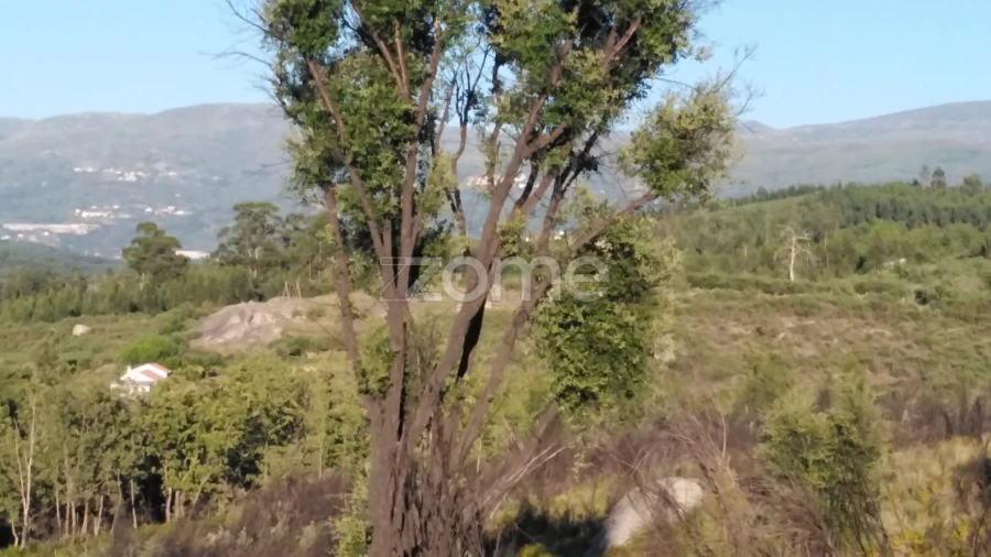 Terreno para Venda em Sameice e Santa Eulália