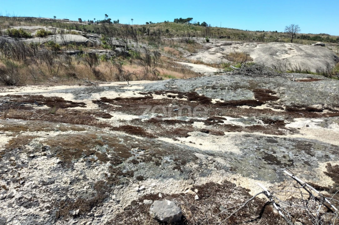 Terreno para Venda em Travancinha Foto 13