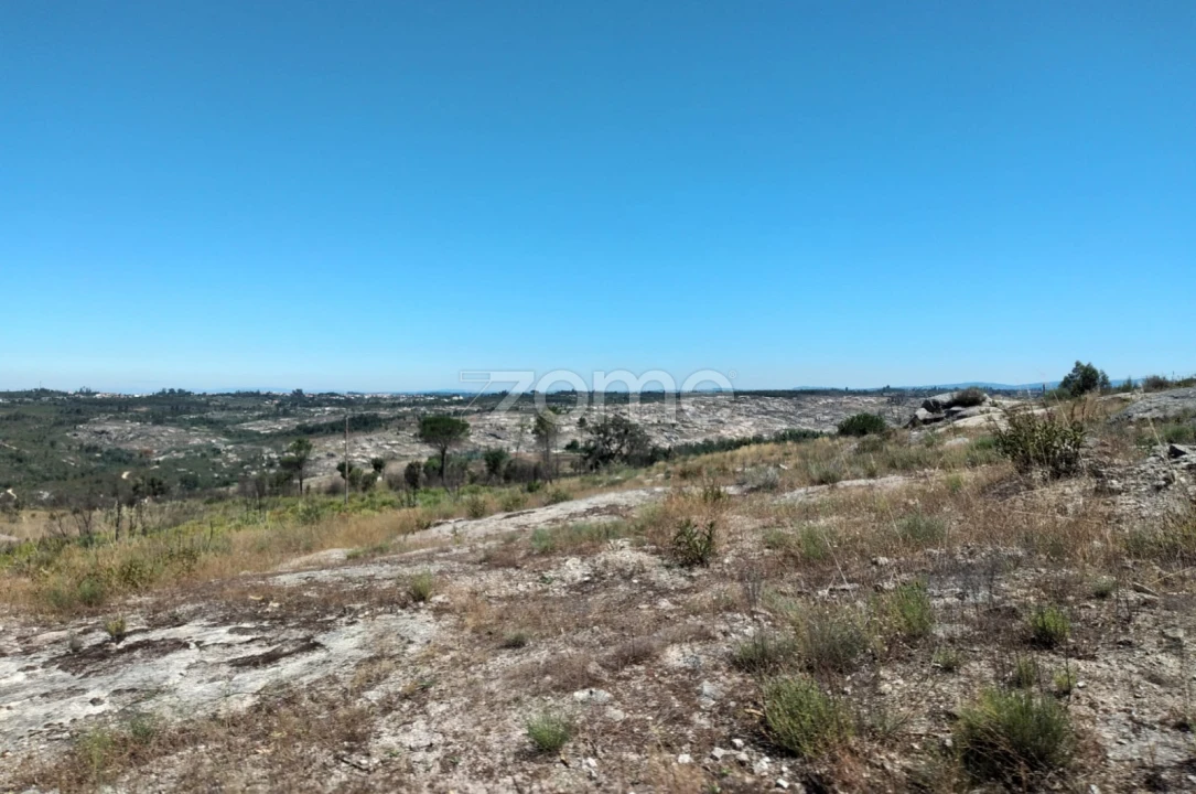 Terreno para Venda em Travancinha Foto 15