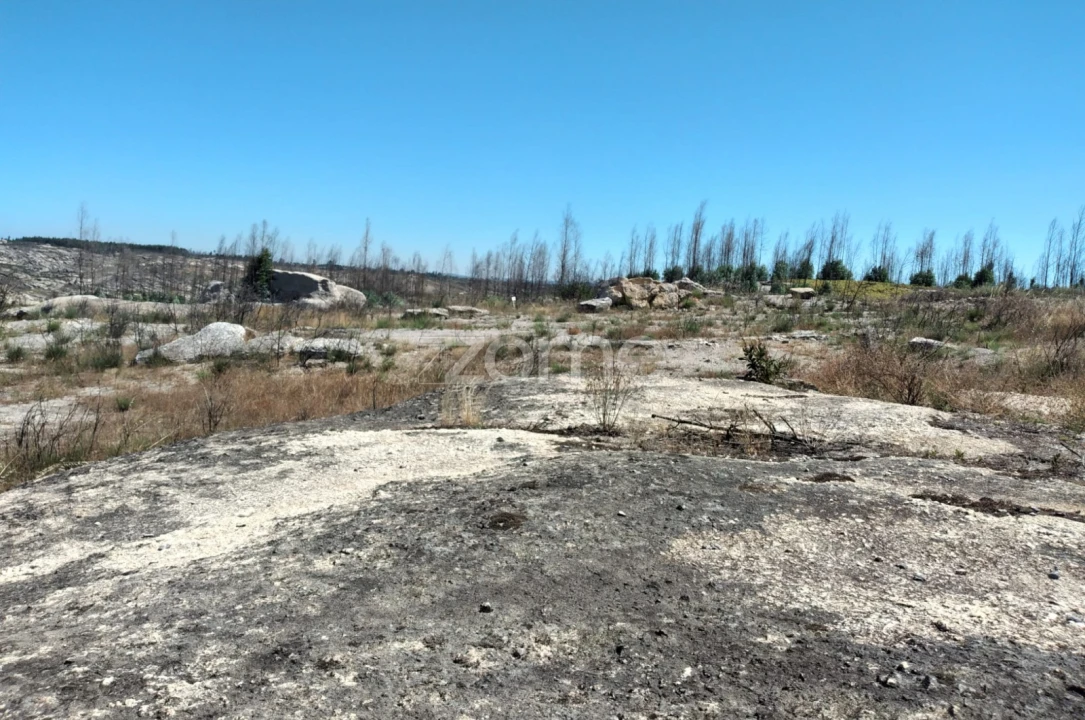 Terreno para Venda em Travancinha Foto 12