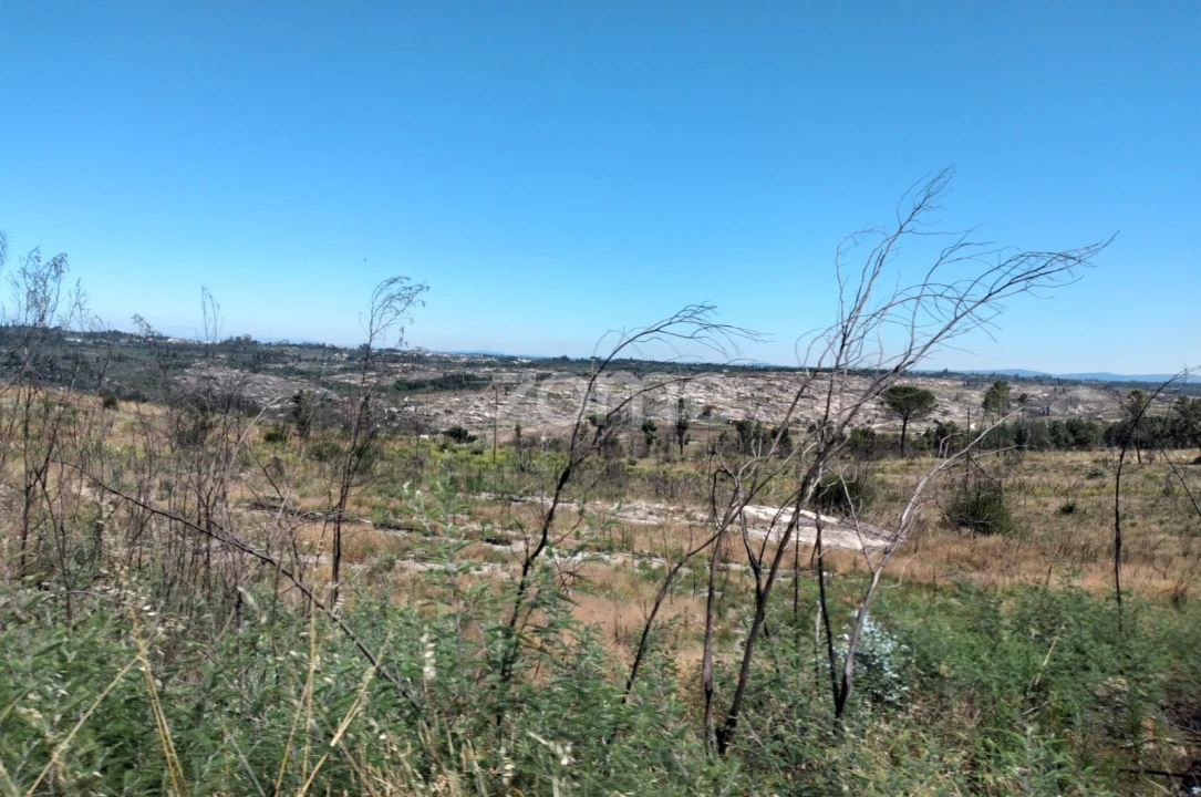 Terreno para Venda em Travancinha Foto 1