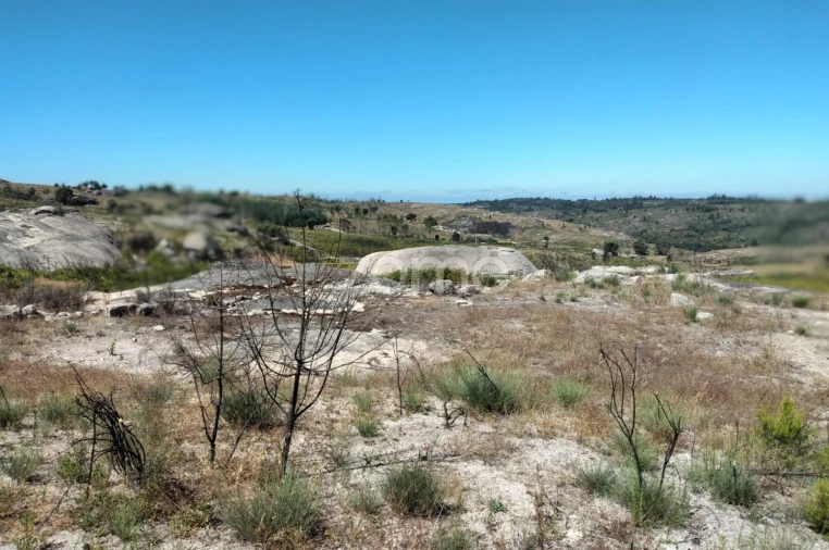 Terreno para Venda em Travancinha Foto 7