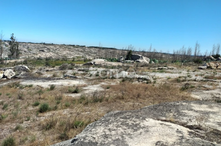 Terreno para Venda em Travancinha Foto 11