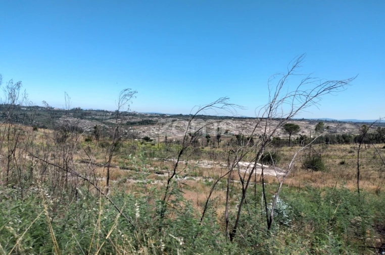 Terreno para Venda em Travancinha