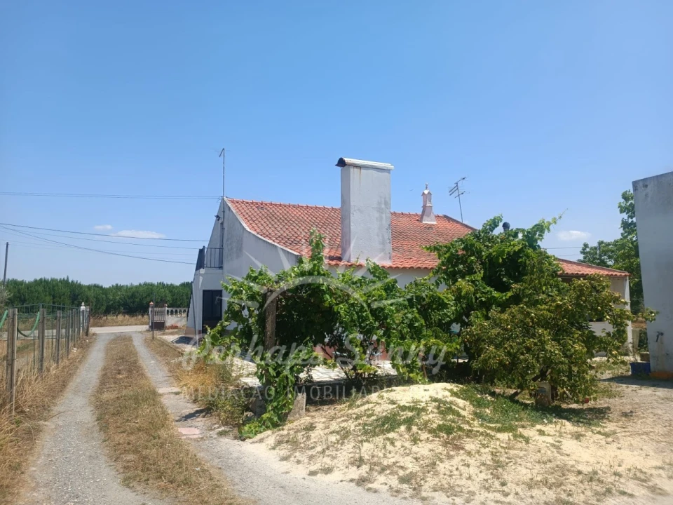 Quinta T3 para Venda em Grândola e Santa Margarida da Serra Foto 1