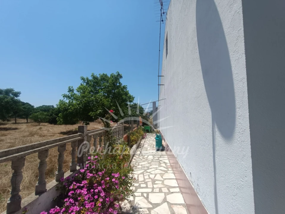Quinta T3 para Venda em Grândola e Santa Margarida da Serra Foto 4