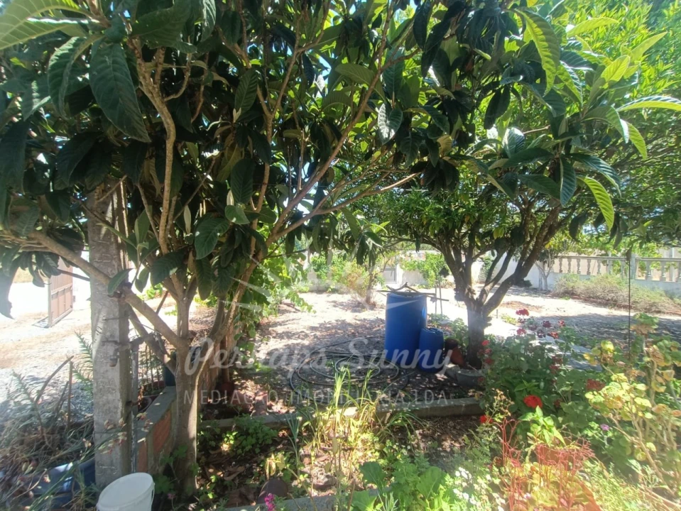Quinta T3 para Venda em Grândola e Santa Margarida da Serra Foto 9