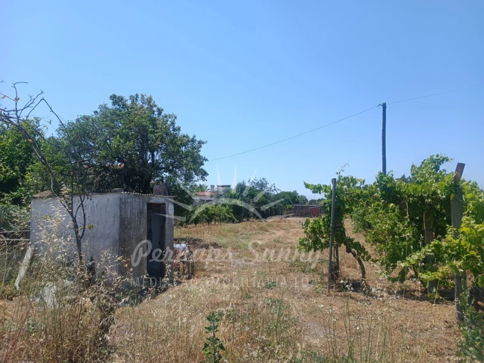 Quinta T3 para Venda em Grândola e Santa Margarida da Serra Foto 30