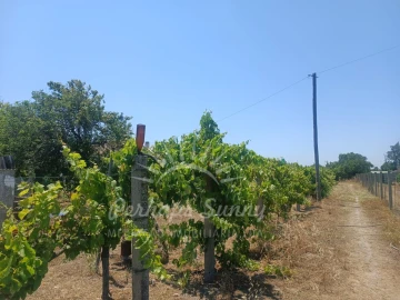 Quinta T3 para Venda em Grândola e Santa Margarida da Serra