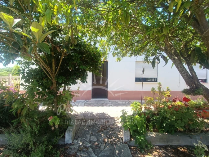 Quinta T3 para Venda em Grândola e Santa Margarida da Serra Foto 8
