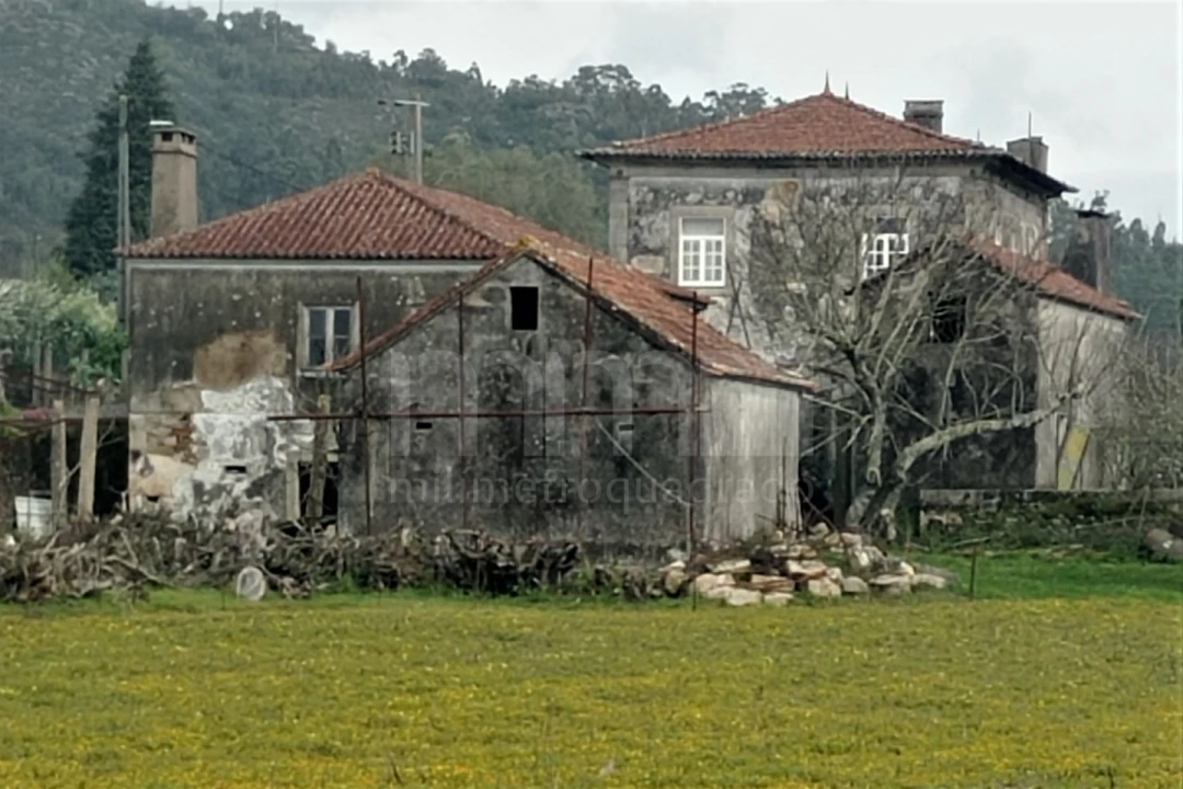 Quinta T8 para Venda em Santa Marta de Portuzelo Foto 3