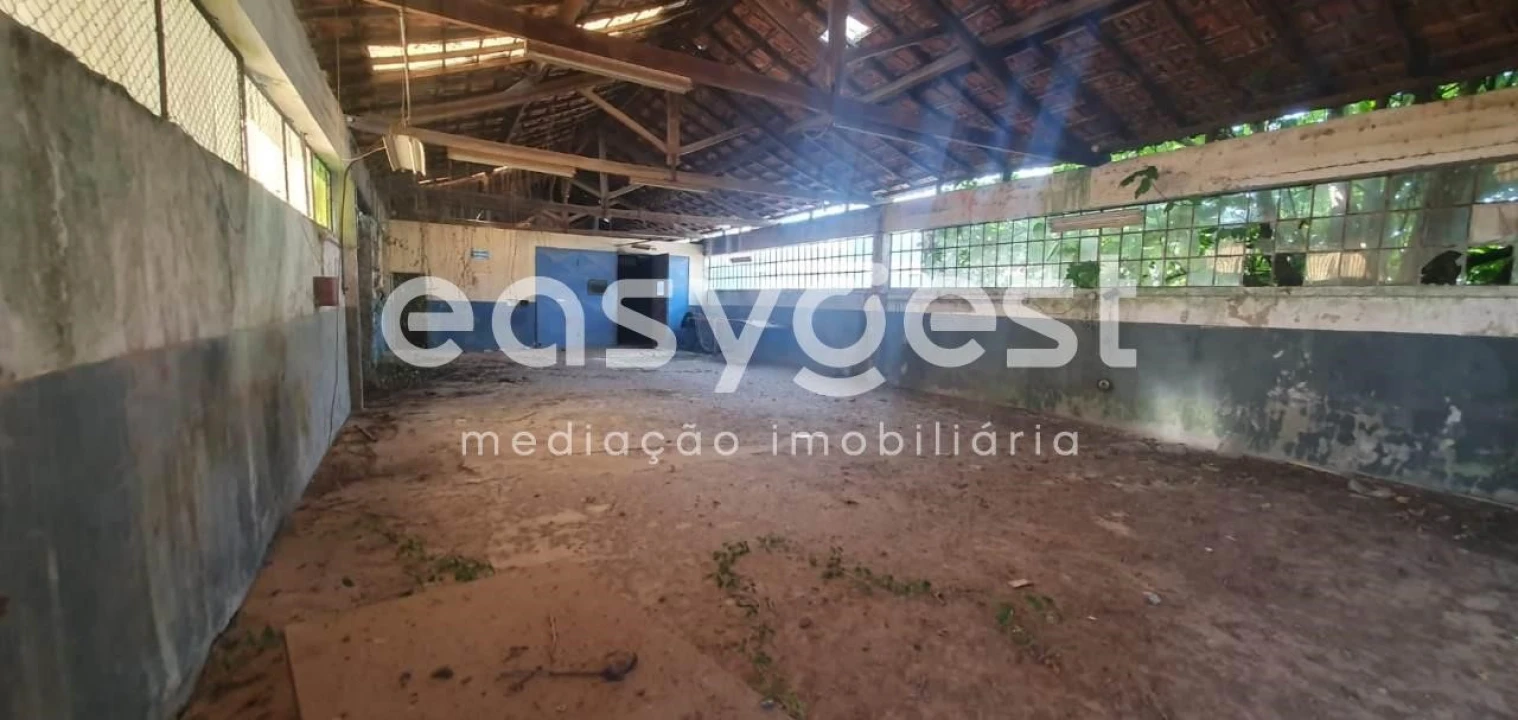 Terreno Comércio / Armazém para Venda em Águeda e Borralha Foto 4