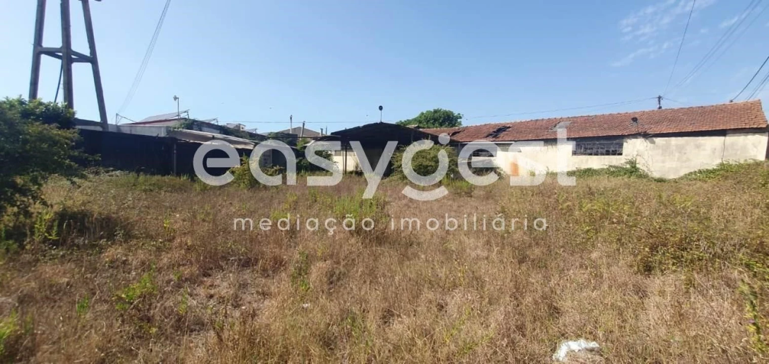 Terreno Comércio / Armazém para Venda em Águeda e Borralha Foto 5