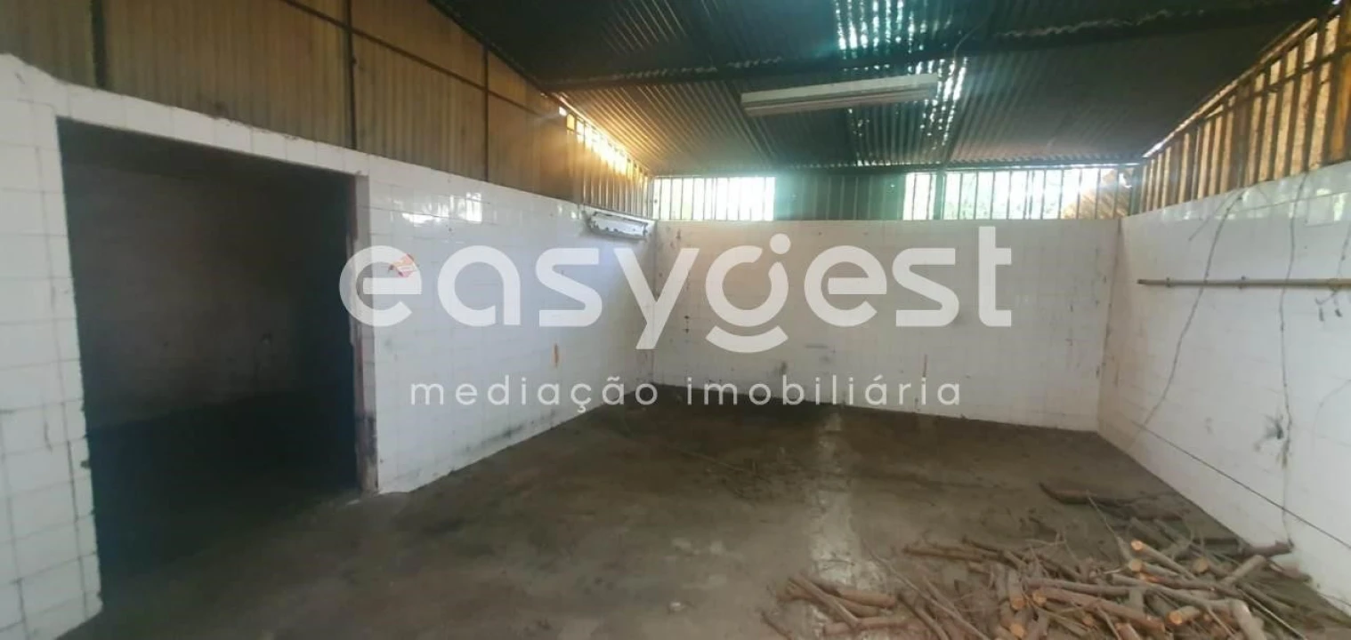 Terreno Comércio / Armazém para Venda em Águeda e Borralha Foto 6