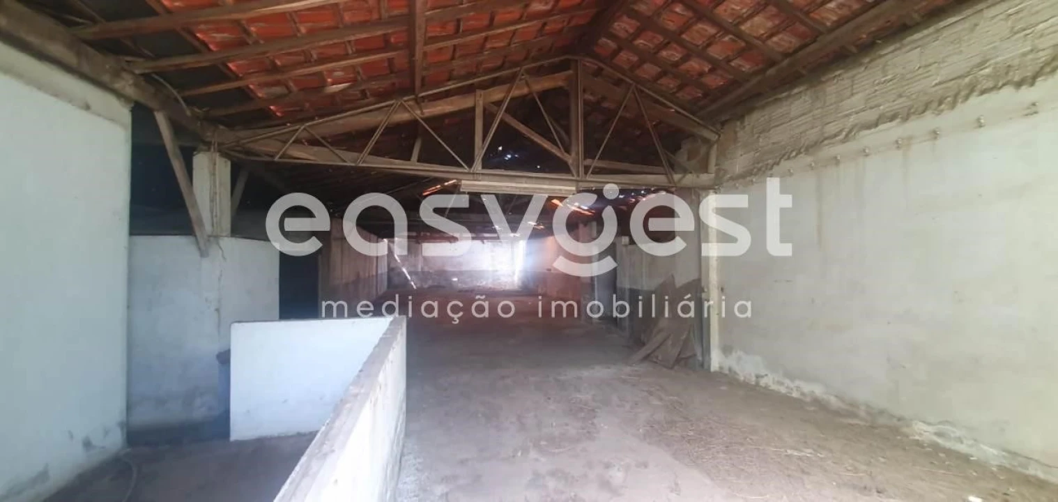 Terreno Comércio / Armazém para Venda em Águeda e Borralha Foto 13