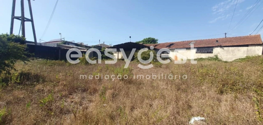 Terreno Comércio / Armazém para Venda em Águeda e Borralha Foto 5