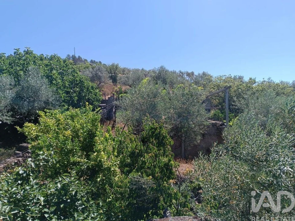 Terreno para Venda em Poiares Foto 26