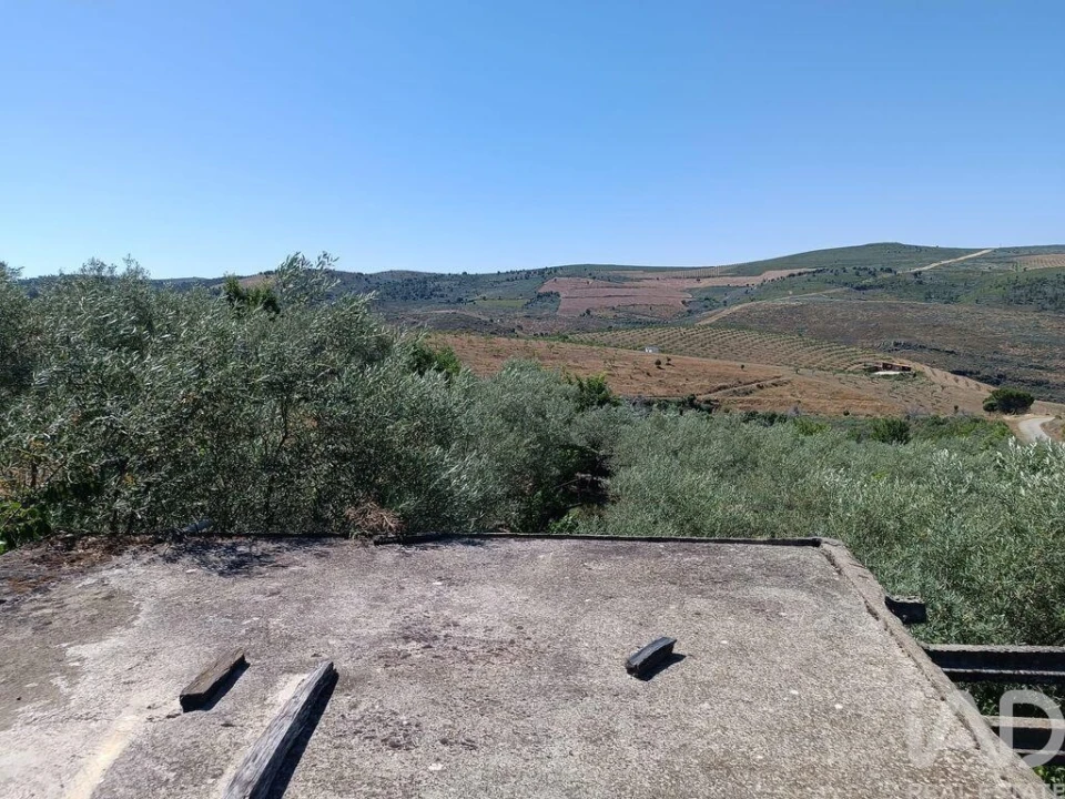 Terreno para Venda em Poiares Foto 21