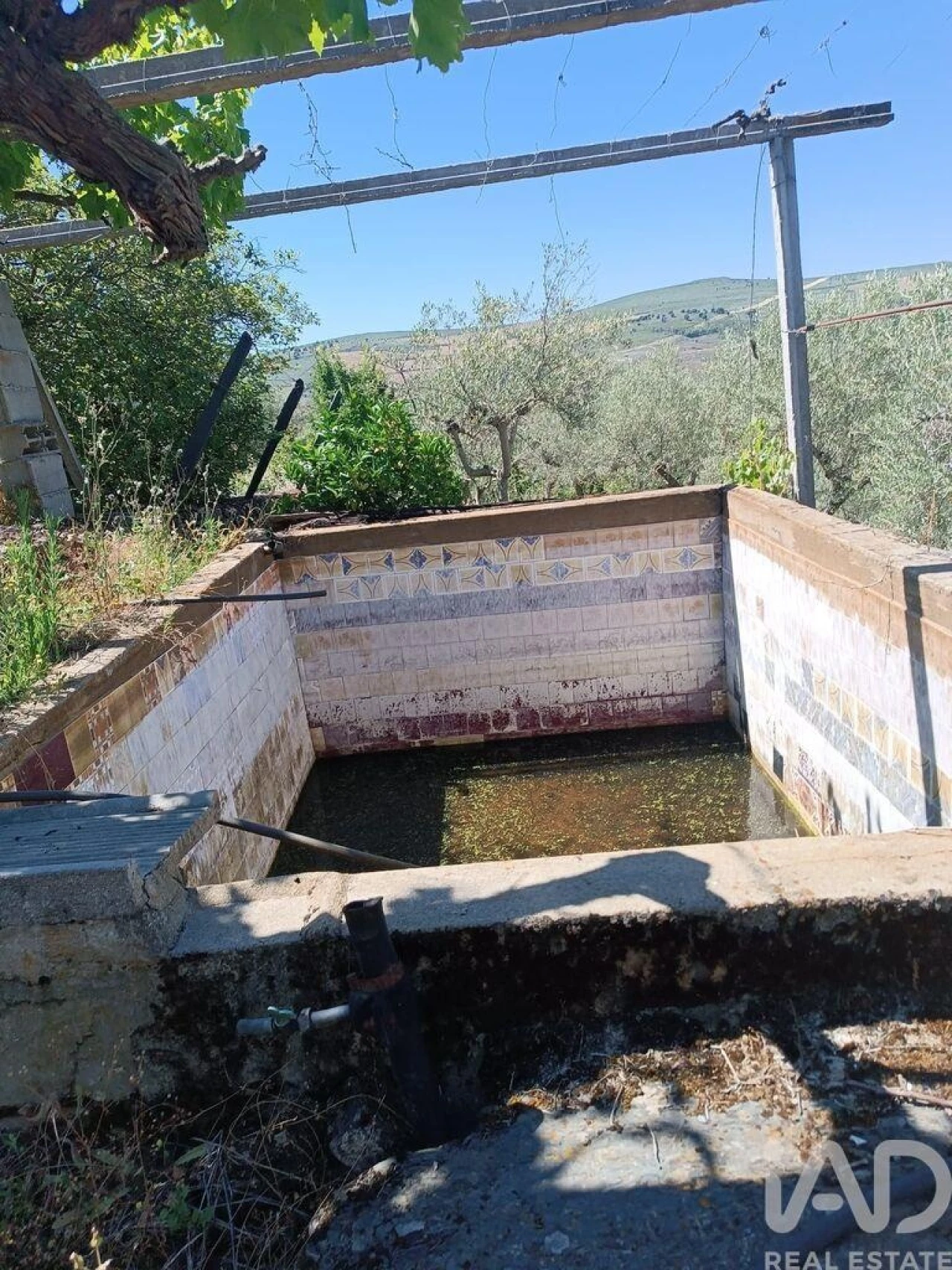Terreno para Venda em Poiares Foto 9