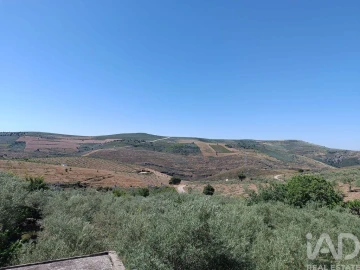 Terreno para Venda em Poiares