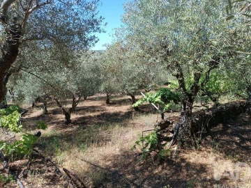 Terreno para Venda em Poiares