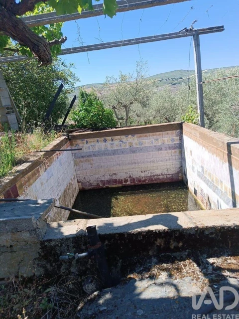 Terreno para Venda em Poiares