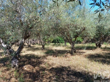 Terreno para Venda em Poiares