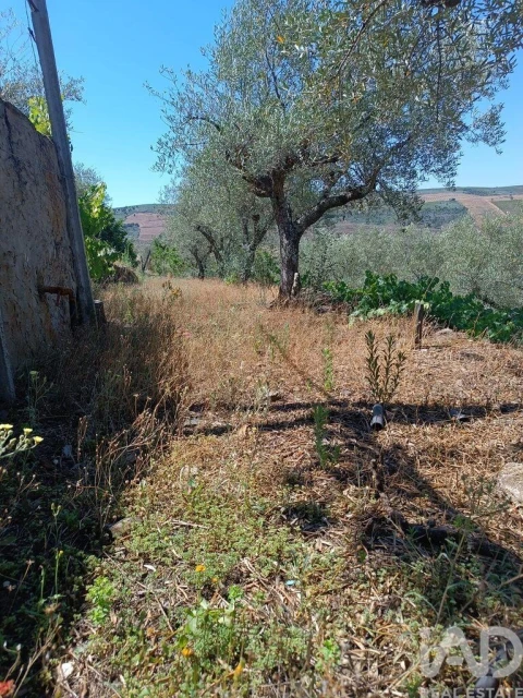 Terreno para Venda em Poiares