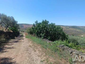 Terreno para Venda em Poiares