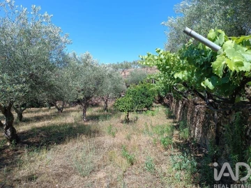 Terreno para Venda em Poiares