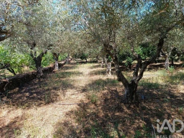 Terreno para Venda em Poiares