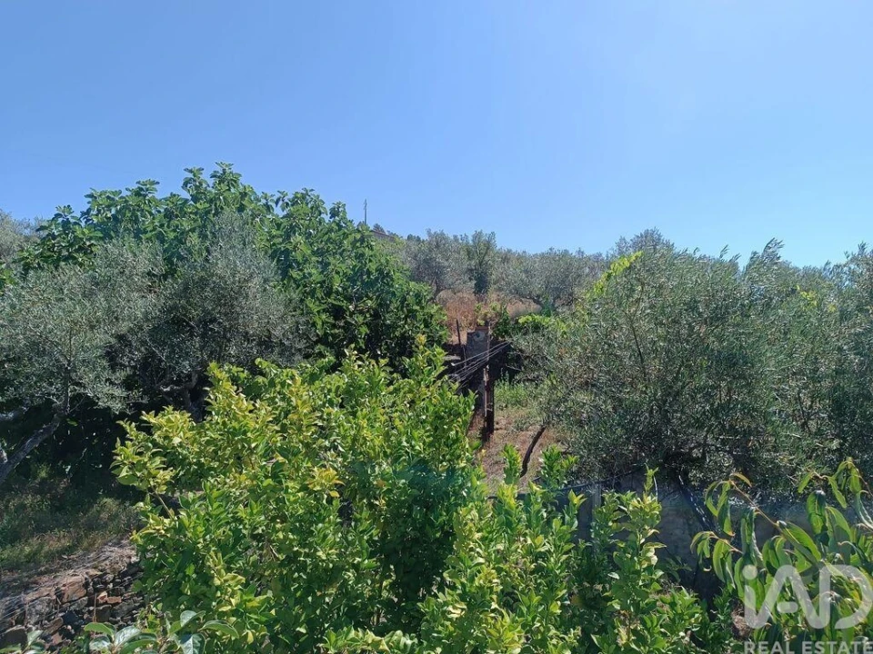 Terreno para Venda em Poiares Foto 6