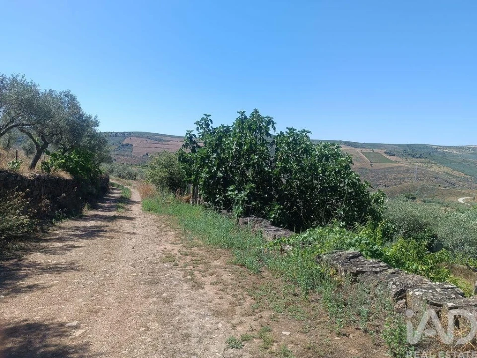 Terreno para Venda em Poiares Foto 1