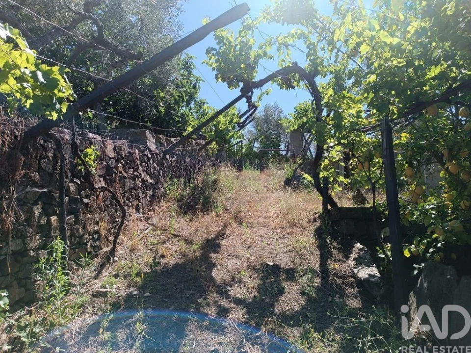 Terreno para Venda em Poiares Foto 2