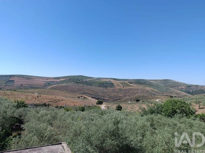 Terreno para Venda em Poiares Foto 23